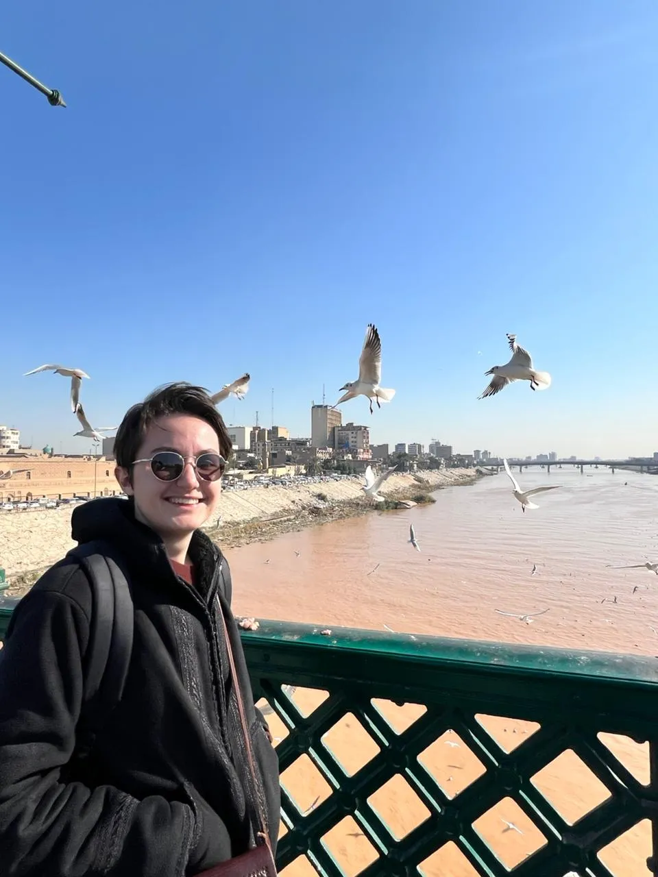 Seagulls lifting off the Tigris beside a riverfront railing in Baghdad, the far bank of the city running along the horizon.